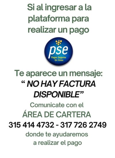 INSTRUCTIVO SI NO PUEDE REALIZAR EL PAGO 2